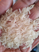 Picture of Khan Foods Sella Rice From Pakistan 1 KG