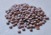 Picture of Whole Black Lentil (Khara Masoor) 500 Grams