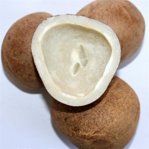 Picture of Dry Coconut 50 Grams